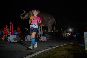 BIB: 
                            <button type="button" onclick="openModal(26551804)" class="btn btn-primary btn-sm float-right btn-popup" data-toggle="modal" data-target=".modal-high-quality">
                        <i class="fas fa-shopping-cart"></i> Add to Cart
                    </button>
                                            <button type="button" onclick="isThisMe(26551804, true)" class="btn btn-success btn-sm float-right btn-popup btn-isme hidden" data-toggle="tooltip" data-placement="bottom" title="นี่คือรูปของคุณใช่ไหม คลิกที่นี่เพื่อเอาเข้าอัลบั้ม">
                        <i class="fas fa-plus"></i> Add to album
                    </button>
                    <button type="button" onclick="isThisMe(26551804, false)" class="btn btn-warning btn-sm float-right btn-popup btn-isnotme hidden">
                        <i class="fas fa-ban"></i> Remove from album
                    </button>